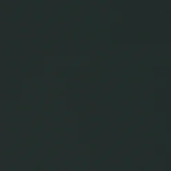 Homme Save The Duck Doudone Ezra Pour Homme