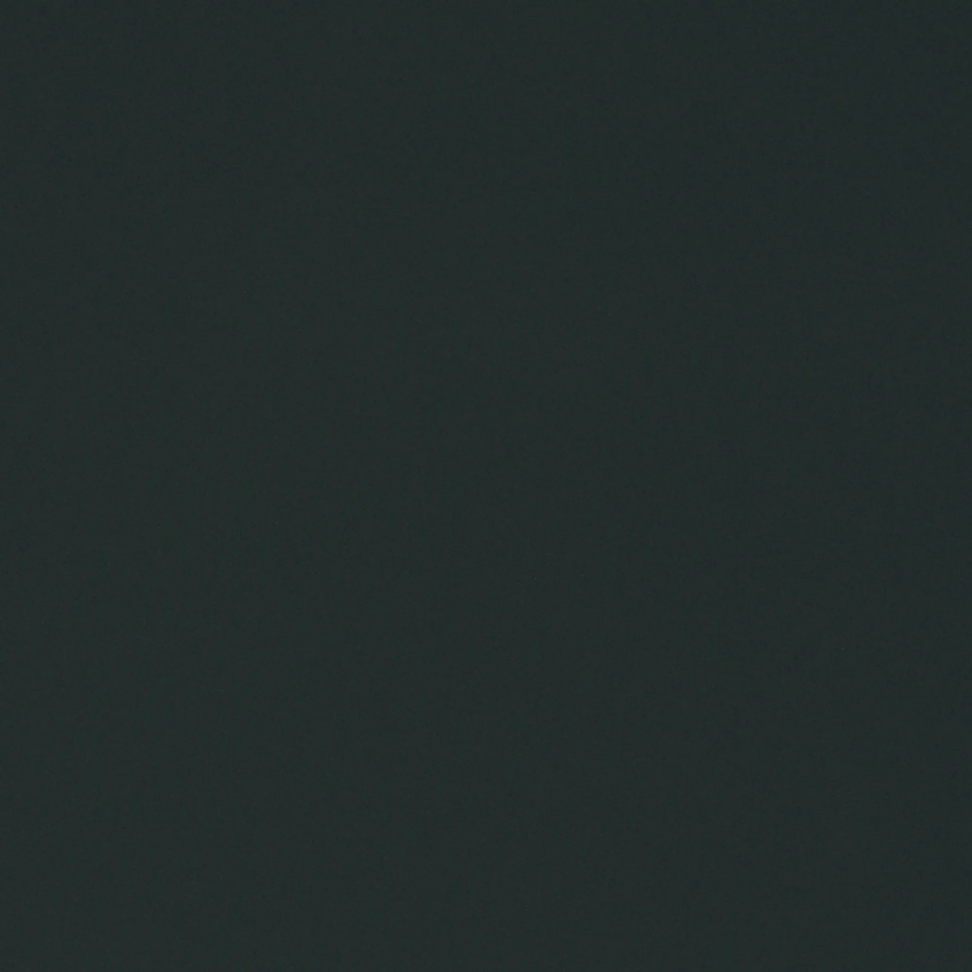 Homme Save The Duck Doudone Ezra Pour Homme